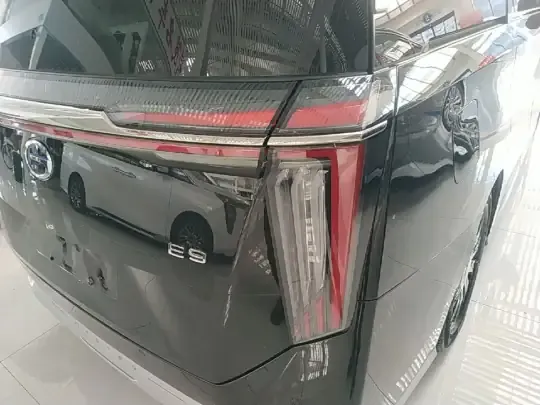 GAC Trumpchi E9 2023 (48700 км)