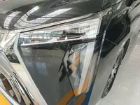 GAC Trumpchi E9 2023 (48700 км)