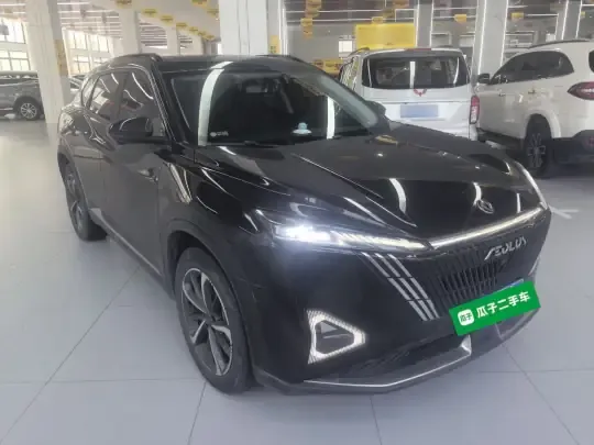 Dongfeng Aeolus Mage 2023 (20100 км)