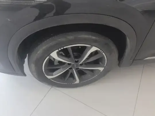 Dongfeng Aeolus Mage 2023 (20100 км)
