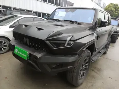 Brave warrior 917 2023 (15800 км)