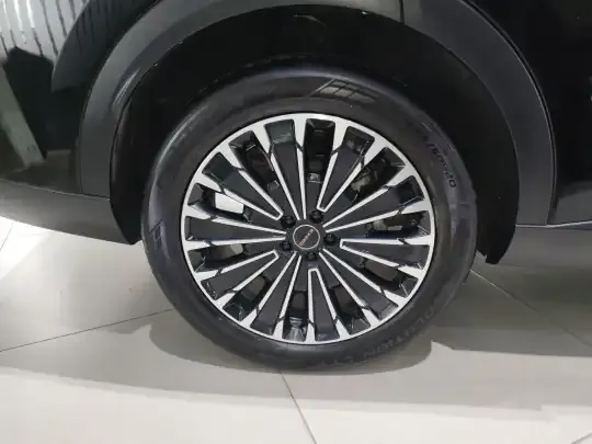 EXEED Stellar 2023 (34300 км)