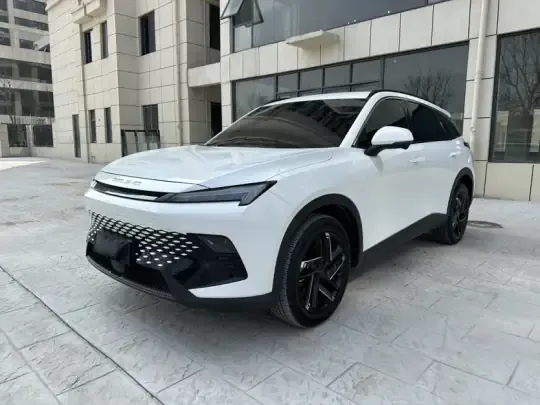 BAIC Rubik 2023 (13100 км)