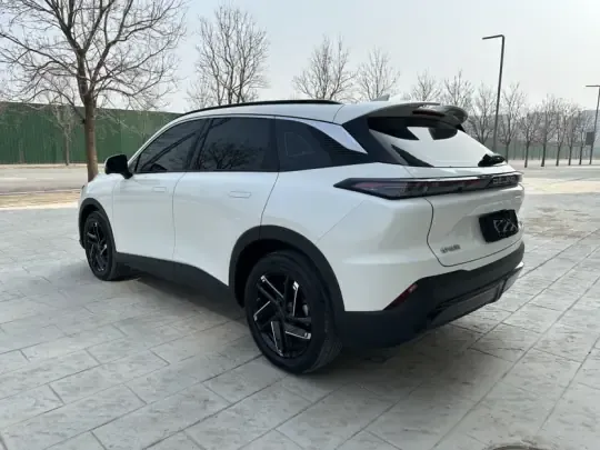 BAIC Rubik 2023 (13100 км)