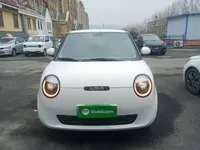 Qiyuan Lumin 2023 (12900 км)