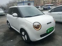 Qiyuan Lumin 2023 (12900 км)
