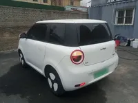 Qiyuan Lumin 2023 (12900 км)