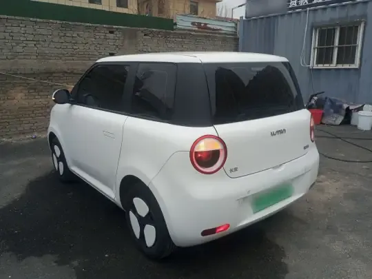Qiyuan Lumin 2023 (12900 км)