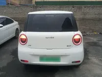 Qiyuan Lumin 2023 (12900 км)