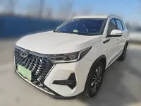 Chery Tiggo 8 PRO 2024 (17600 км)