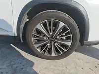 Chery Tiggo 8 PRO 2024 (17600 км)