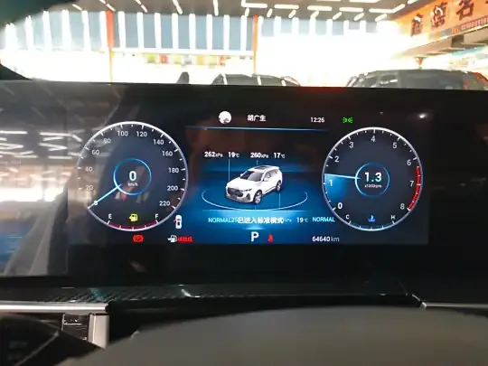 Chery Tiggo 7 PLUS 2023 (64600 км)