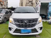 FORTHING Lingzhi PLUS 2024 (18000 км)