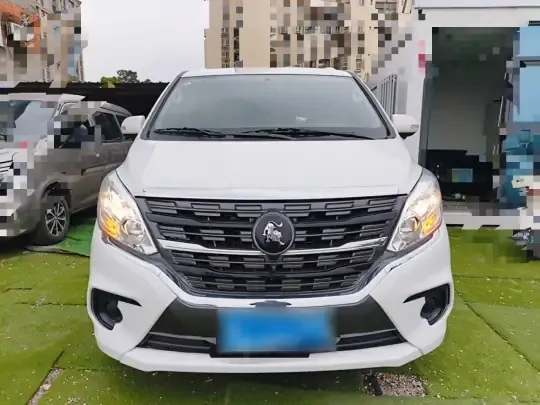 FORTHING Lingzhi PLUS 2024 (18000 км)