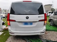 FORTHING Lingzhi PLUS 2024 (18000 км)