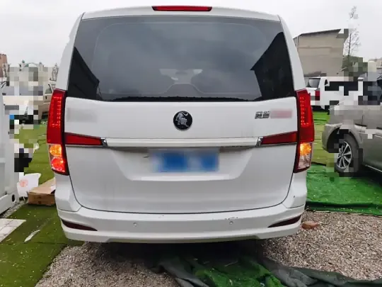 FORTHING Lingzhi PLUS 2024 (18000 км)