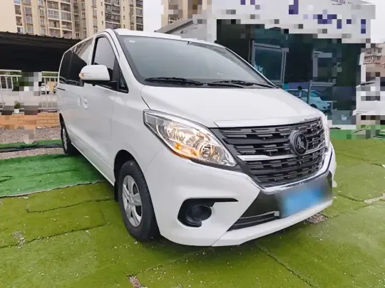 FORTHING Lingzhi PLUS 2024 (18000 км)