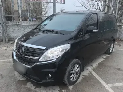 FORTHING Lingzhi PLUS 2024 (26800 км)