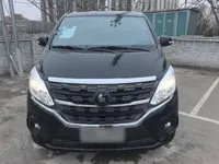 FORTHING Lingzhi PLUS 2024 (26800 км)