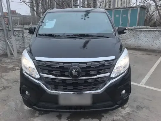 FORTHING Lingzhi PLUS 2024 (26800 км)