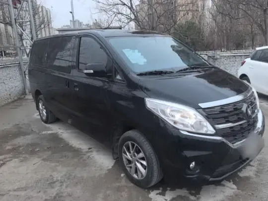 FORTHING Lingzhi PLUS 2024 (26800 км)