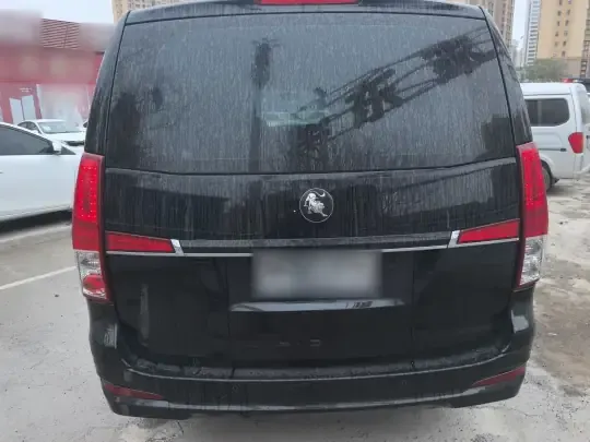 FORTHING Lingzhi PLUS 2024 (26800 км)