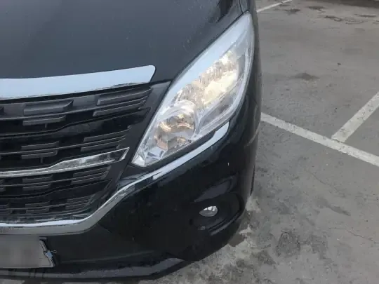 FORTHING Lingzhi PLUS 2024 (26800 км)