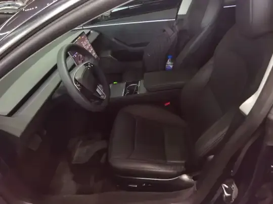 Tesla Model 3 2023 (30700 км)
