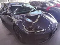 Tesla Model 3 2023 (30700 км)