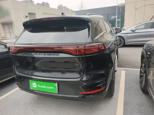 BYD Tang New Energy 2024 (40100 км)