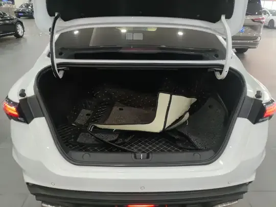 Geely Auto Binray 2024 (24300 км)