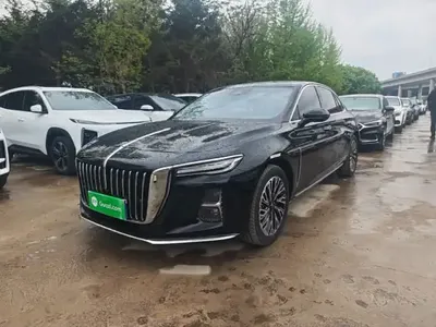 Hongqi H5 2024 (19900 км)