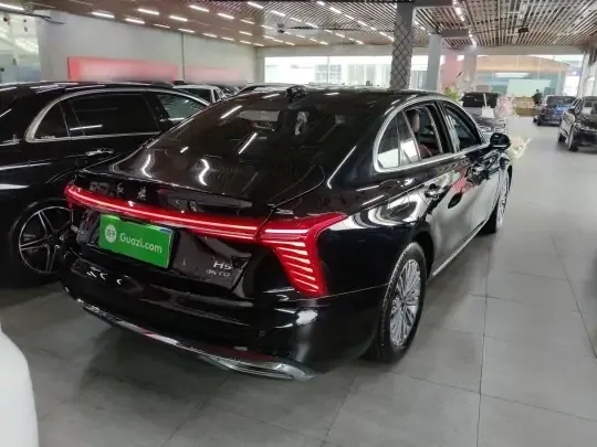 Hongqi H5 2024 (16100 км)