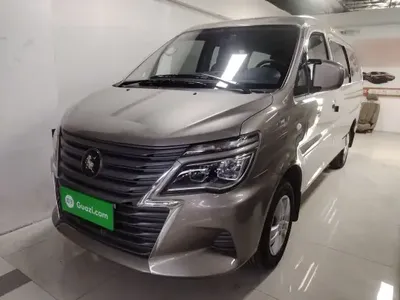 FORTHING Lingzhi 2024 (16200 км)