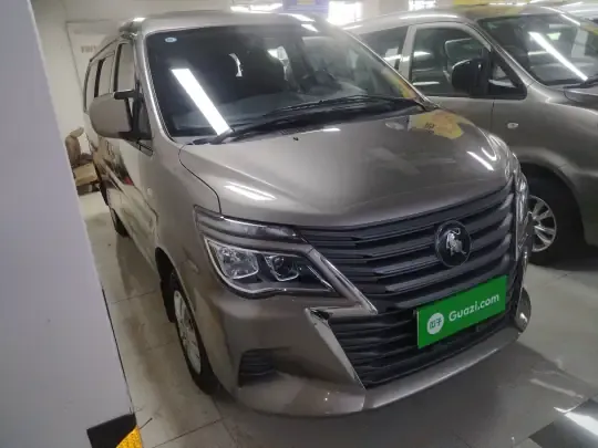 FORTHING Lingzhi 2024 (16200 км)