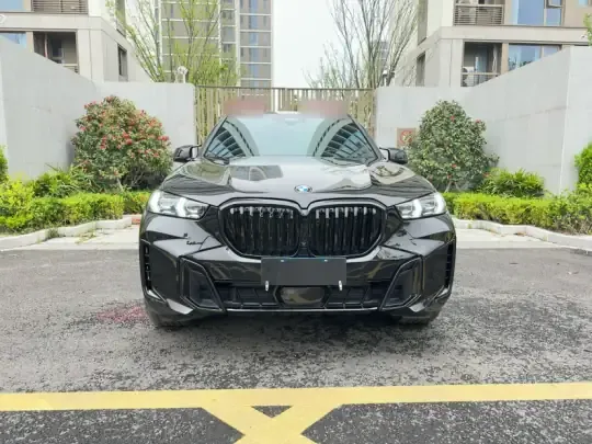 BMW X5 2023 (29200 км)