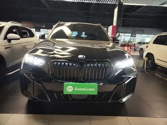 BMW X5 2023 (29200 км)