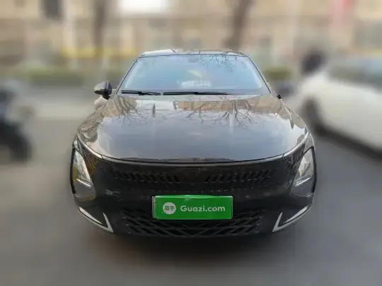 Wuling Xingguang 2023 (14400 км)