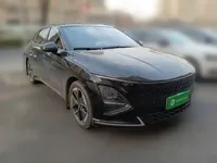 Wuling Xingguang 2023 (14400 км)