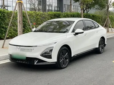 Wuling Xingguang 2023 (24500 км)