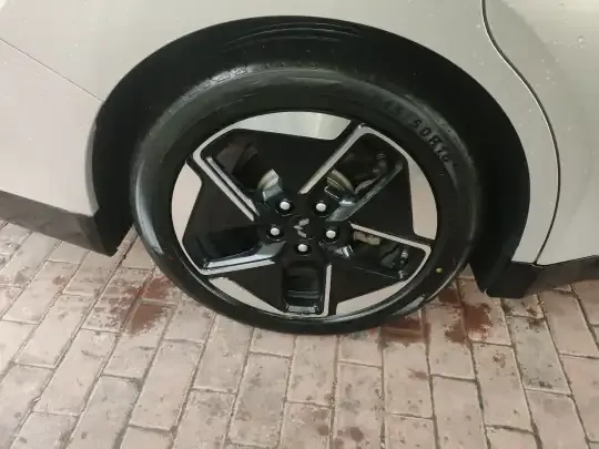 Wuling Xingguang 2024 (24900 км)