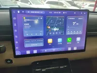 Wuling Xingguang 2024 (24900 км)