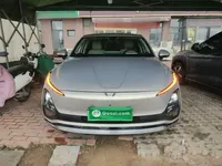 Wuling Xingguang 2024 (24900 км)