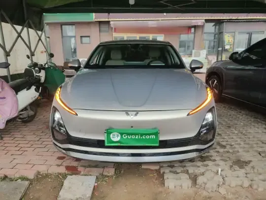 Wuling Xingguang 2024 (24900 км)