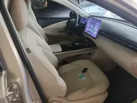 Wuling Xingguang 2024 (24900 км)
