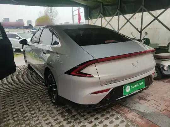 Wuling Xingguang 2024 (24900 км)