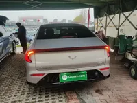 Wuling Xingguang 2024 (24900 км)