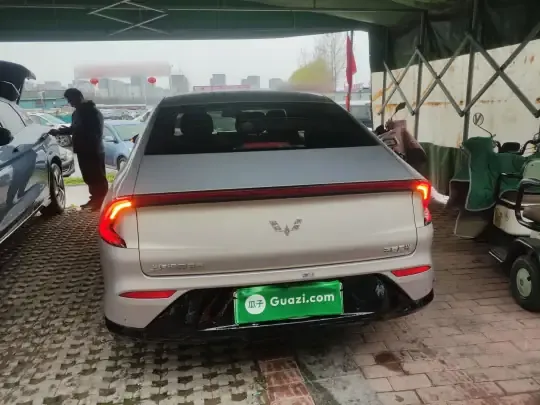 Wuling Xingguang 2024 (24900 км)