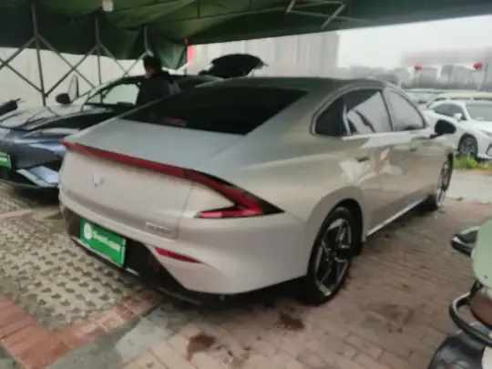 Wuling Xingguang 2024 (24900 км)