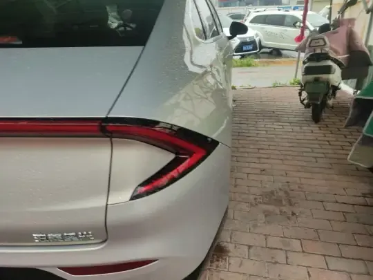 Wuling Xingguang 2024 (24900 км)
